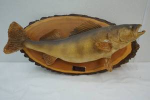 Walleye Mount