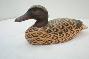 Duck