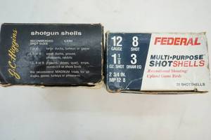 12 gauge ammo