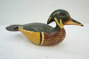 Duck