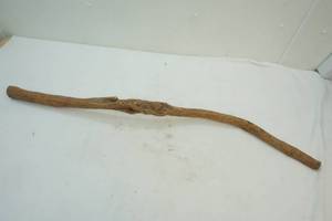 branch