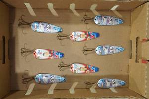 lot 198 image: NASCAR Theme Fishing Spoon Lures