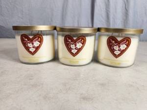 3 New 3 Wick Candles