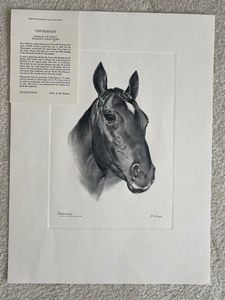 lot 71 image: 5 Unframed Horse Themed Prints by C.W. Ernst with Information Cards