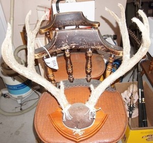 Mounted antlers