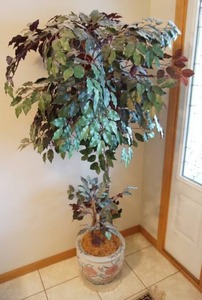 Faux tree in 10 tall pot-64 inch overall.