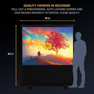 Kodak IndoorOutdoor Portable Projector Screen