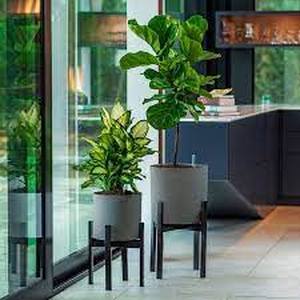 lot 72 image: Vaxa Mid Century Self Watering Planter with Stand, 2-pack
