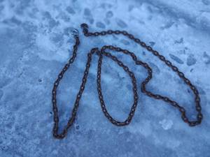 lot 31 image: 12 chain