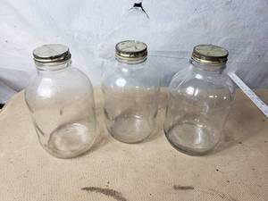 Lot of 3 Gallon Jars with Mrs. Richardsons Lids