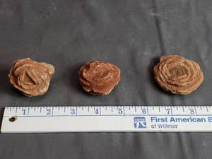 Rose Shaped Rocks or Pottery