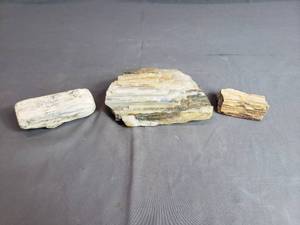 Petrified Wood Looking Pieces