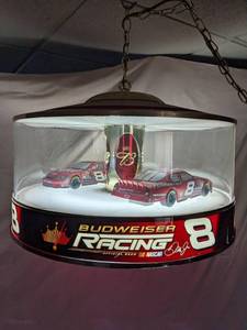 Dale Earnhardt Jr. Carousel
