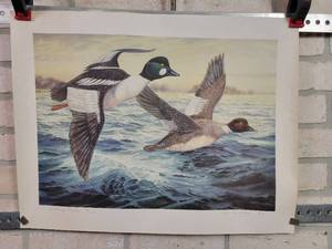 lot 1299 image: Goldeneye Ducks by Artist Kinley Shogren - Signed and Numbered - #69500