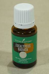 lot 99 image: Young Living Eucalyptus Radiata Essential Oil 15ml
