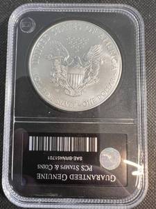 2015 AMERICAN SILVER EAGLE 1 TROY OZ .999 FINE SILVER BLACK SLAB