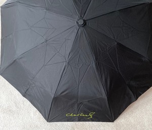 lot 37A image: Chihuly Umbrella