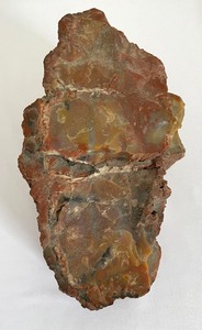 lot 31 image: Petrified Rock