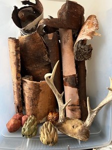 lot 34 image: Rustic Birch Bark Tubes, Deer Antlers, Garlands and More