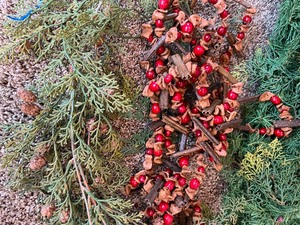 lot 183 image: Fancy Christmas Garland