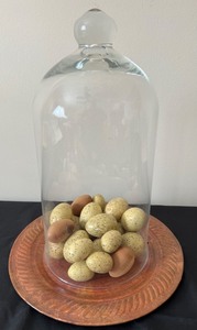 lot 93 image: Springtime Glass Cloche and Decor