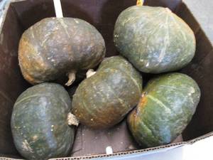 Box of Winter Squash...