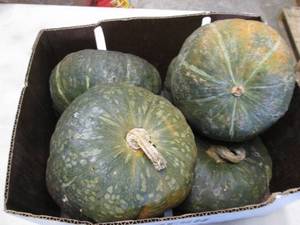 Box of Winter Squash...