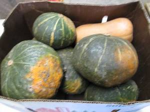 Box of Winter Squash...
