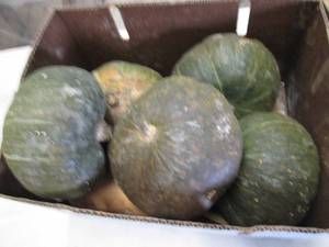 Box of Winter Squash...