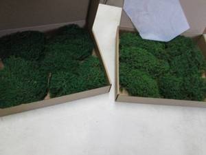 2 Sets Preserved Moss...