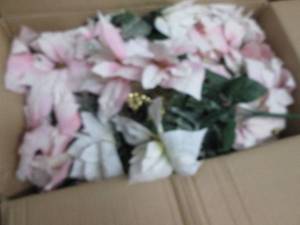 Box of Pink Faux Poinsettias...