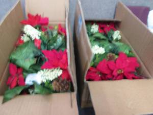 2 Boxes Red Poinsettiaa Mixed Picks...