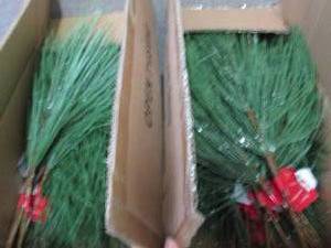 2 Boxes Pine Picks...