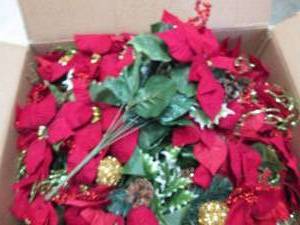 Box of Red Poinsettia Bushes...
