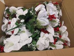 Box of White Amaryllis Bushes...