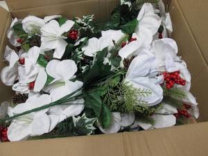 Box of White Amaryllis Bushes...