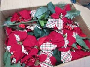 Box of Red Poinsettia Bushes...
