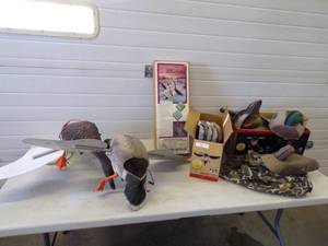 Duck Decoys