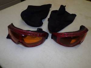 pair of Visors