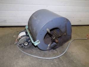 Furnace Squirrel Fan