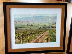 lot 140A image: Set of Four Winery Themed Framed Photographs
