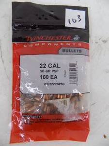 lot 103 image: 100 Count Winchester 22 cal