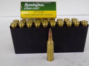 lot 7 image: 20 Rounds - Remington Core Lokt 270 WSM