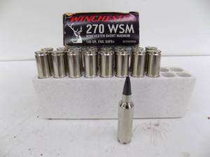 lot 18 image: 17 Rounds Winchester 270 WSM