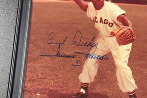 lot 147 image: Chicago White Sox Minnie Minoso Framed Autographed 8x10 Photo  No COA