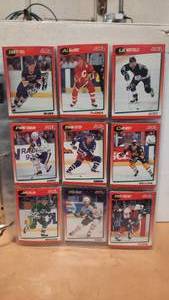 1991 Score Hockey (See Pictures of most of the pages)