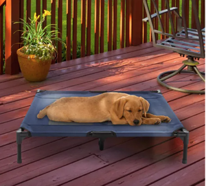 lot 515 image: Petmaker 80-PET6085 Portable Raised Cot-Style Elevated Pet Bed, Blue (OPEN BOX)