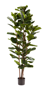 lot 564 image: Pure Garden 72 in. Artificial Fiddle Leaf Fig Tree (OPEN BOX)