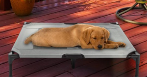 lot 624 image: Petmaker 80-PET6085GY Elevated Pet Bed in Gray - 36 x 29.75 x 7 in. (OPEN BOX)