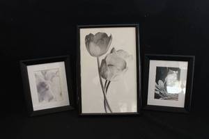 lot 76 image: Set of 3 Black & White Floral Prints in Black Frames